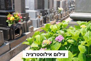 שדרוג בין העלמין